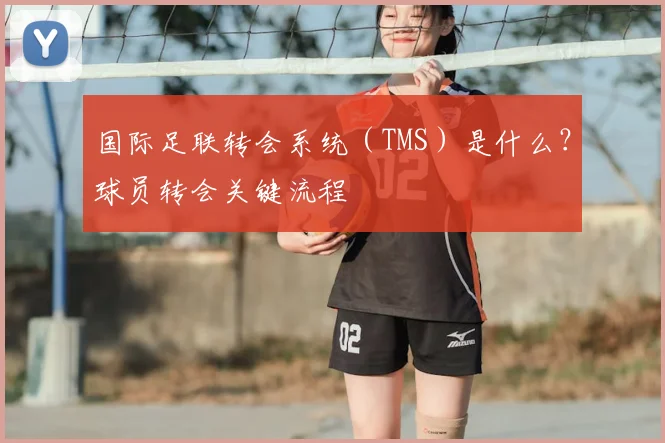 国际足联转会系统（TMS）是什么？球员转会关键流程