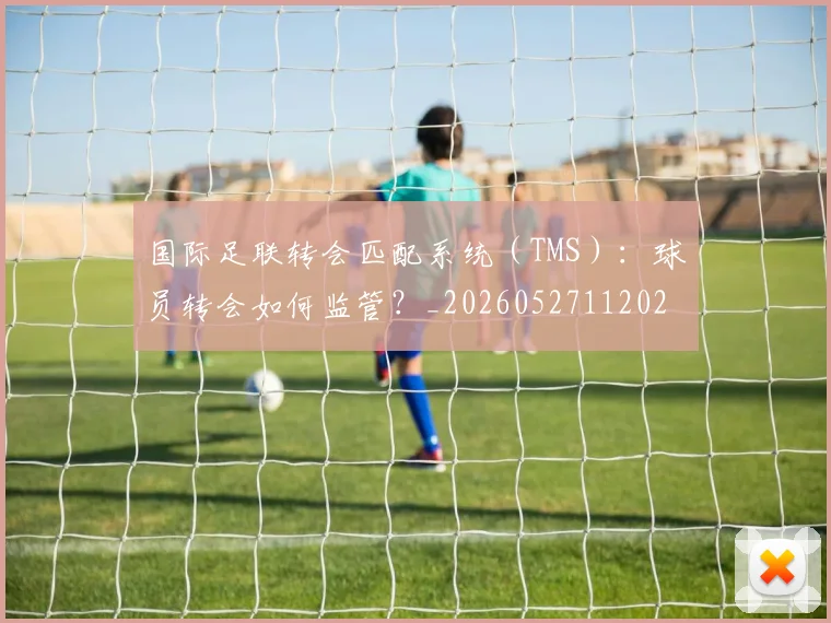 国际足联转会匹配系统（TMS）：球员转会如何监管？_20260527112023_20260703225248