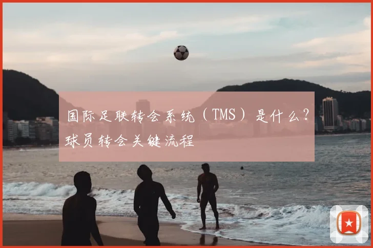 国际足联转会系统(TMS)是什么?球员转会关键流程