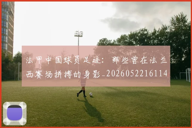 法甲中国球员足迹：那些曾在法兰西赛场拼搏的身影_20260522161146